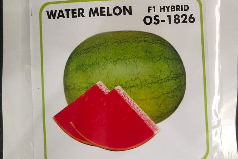 OSN NITRO EXTREME WATERMELON 142G