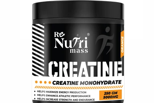 ON CREATINE ORANGE 250GM